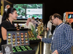 2026年德国法兰克福水烟专业综合展中国展独家代理