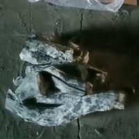 柴扉尔炭业有限公司供应果木白炭